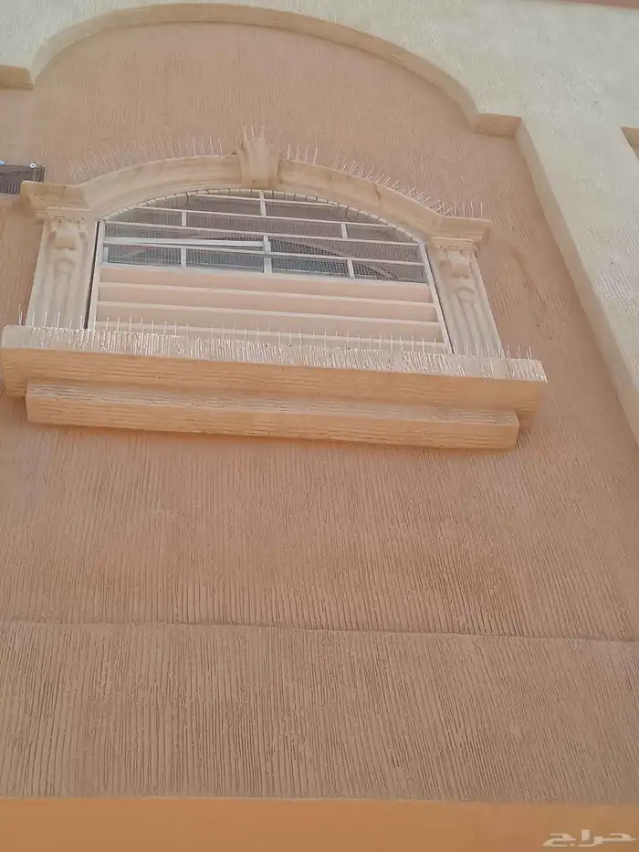 طاردوالحمام تركيب شبابيك شوك 6