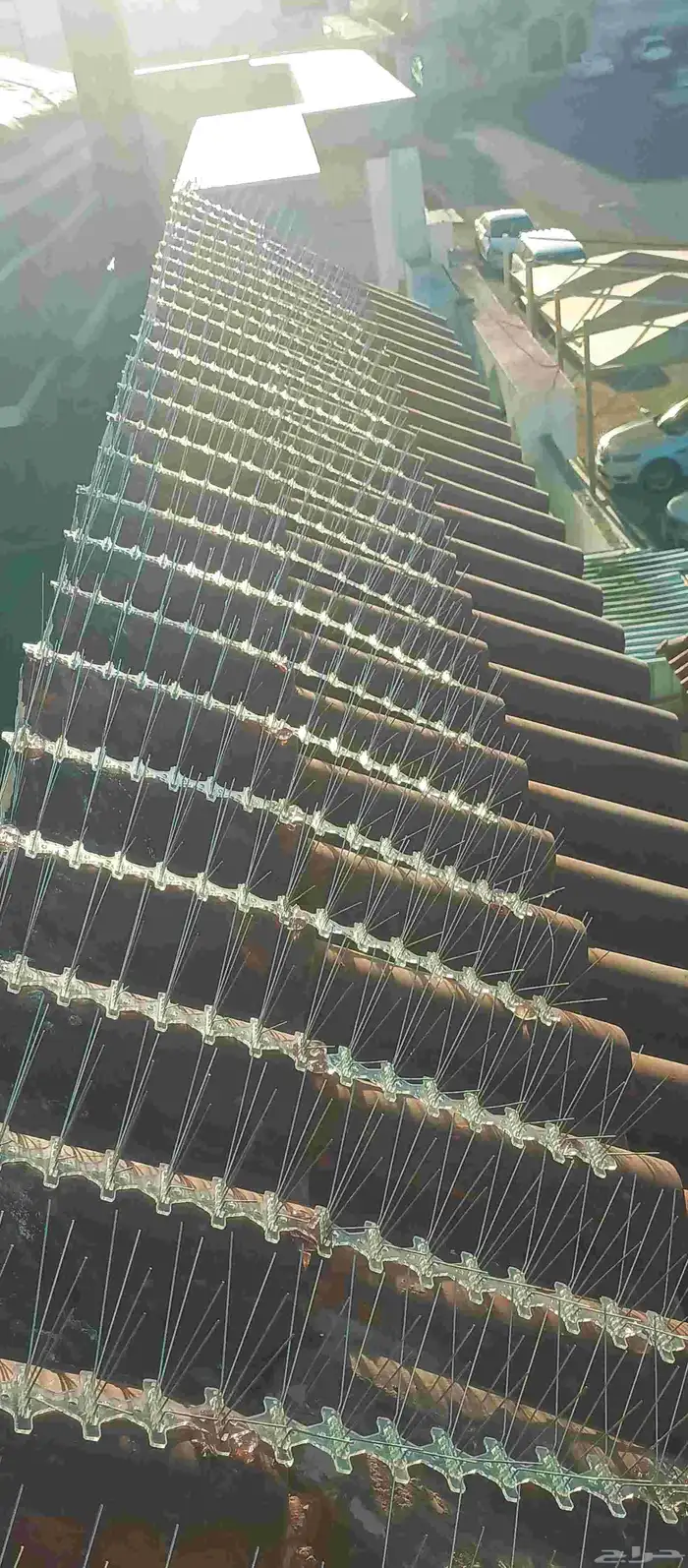 حمام صندوق شوق معلم ما  تر يب 6