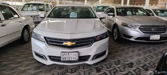 امبالا Lt... بيض الموديل 2018 19