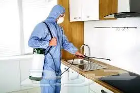 شركه تنظيف منازل شركه تنظيف عام 5