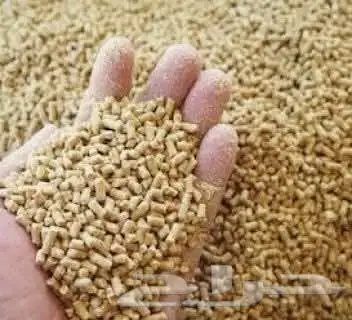 فنى تربية دواجن   روس 308وجميع أنواع الطيور 4