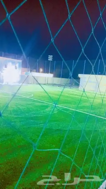 معلم العشب نجيله حدائق صناعي بيت استراحة أرضي تر يبات شعل مل 4