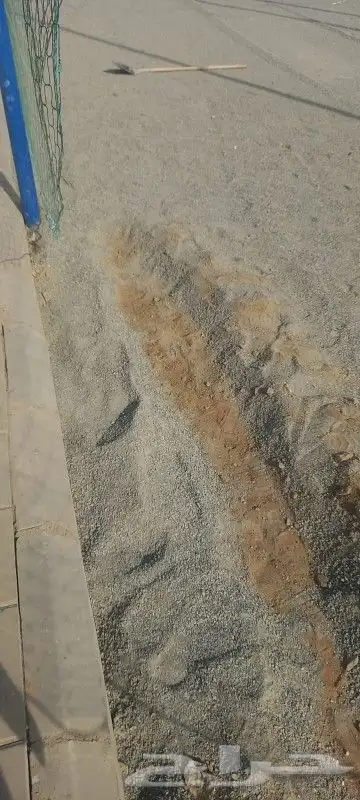 معلم العشب نجيله حدائق صناعي بيت استراحة أرضي تر يبات شعل مل 8