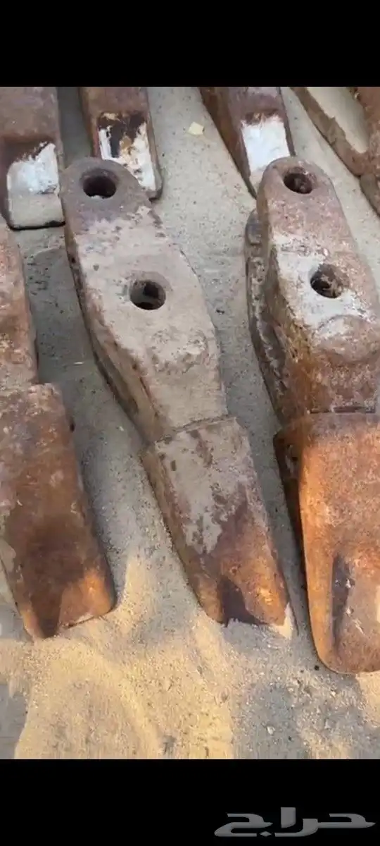 سنون شيول للبيع 0