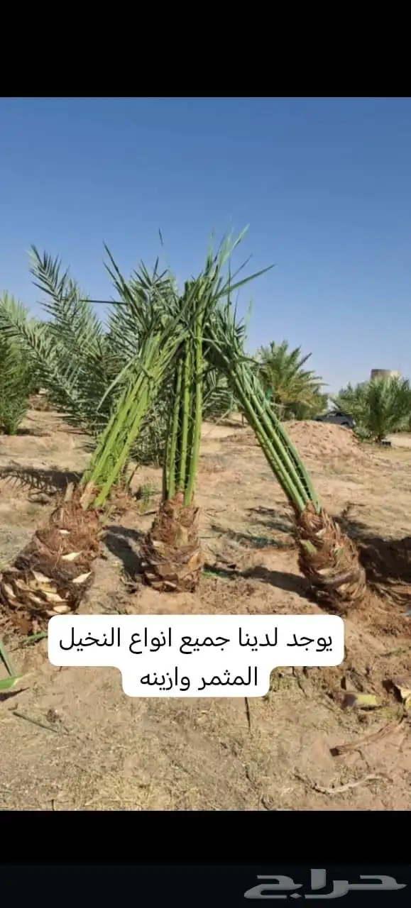 جميع أنحاء المملكة العربية السعودية اتوصل 4