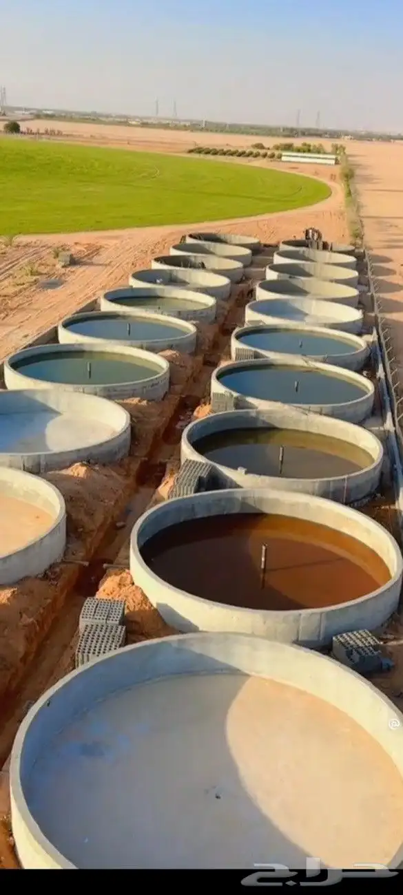 سم  خزان ديري 0