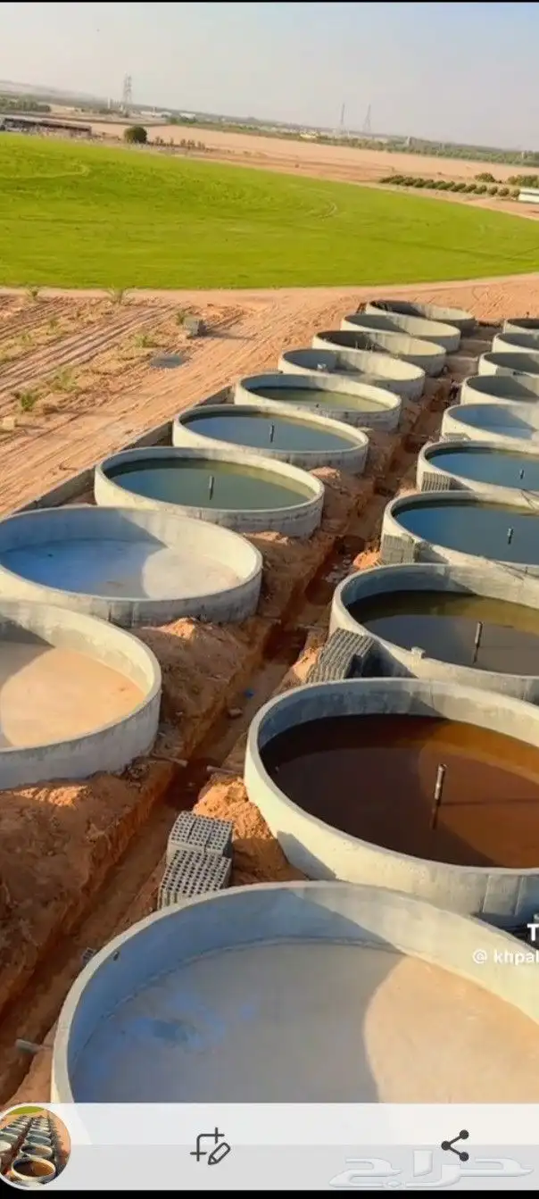 سم  خزان ديري 1