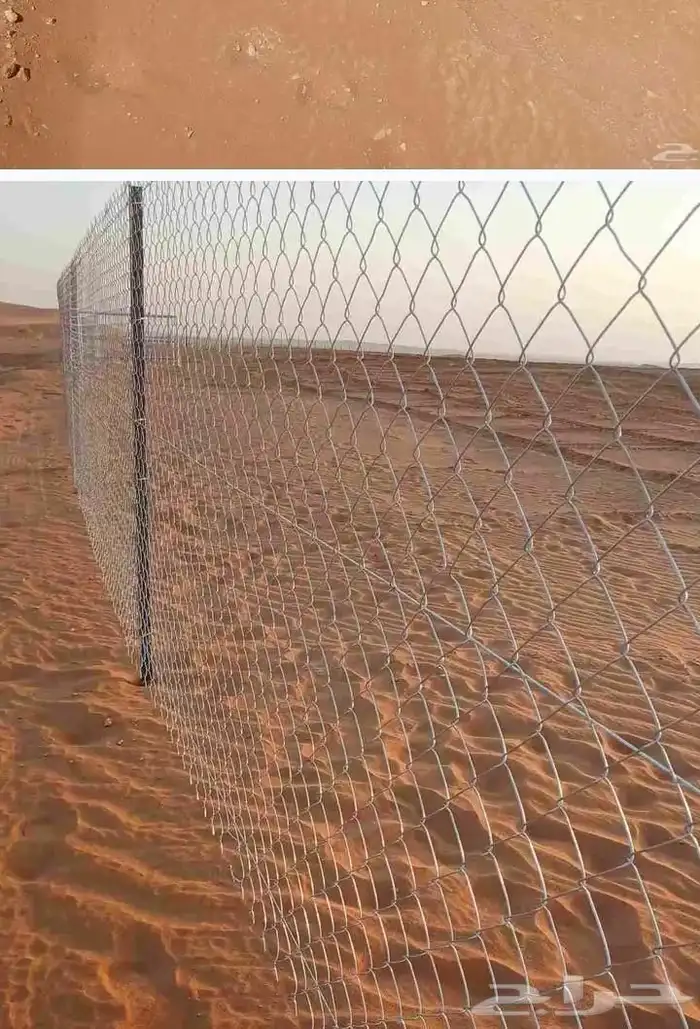 عندناء شبوك ونخل بساعر مناسبة 1