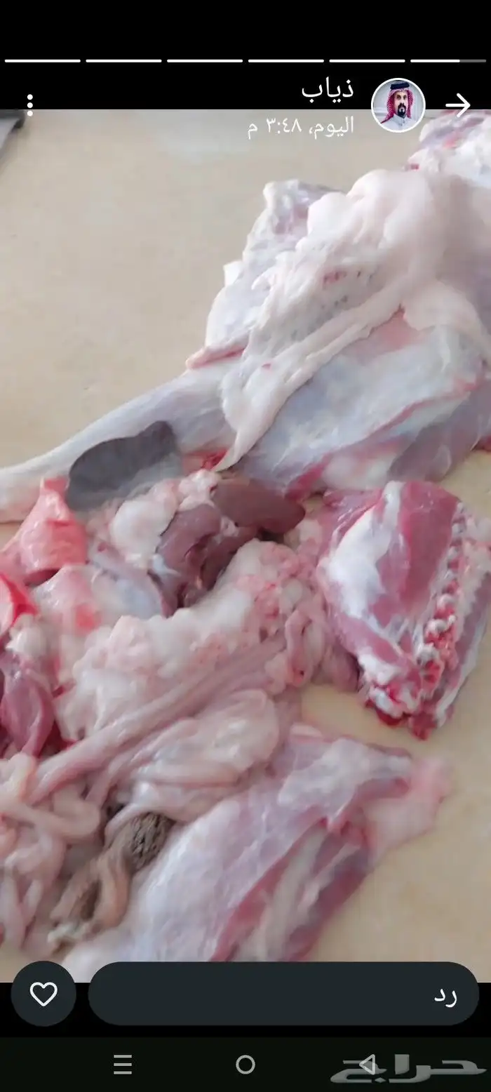 ملحمة النسيم للذبائح اليومي يوجد توصيل تيوس وخرفان بلدي نجرا 2