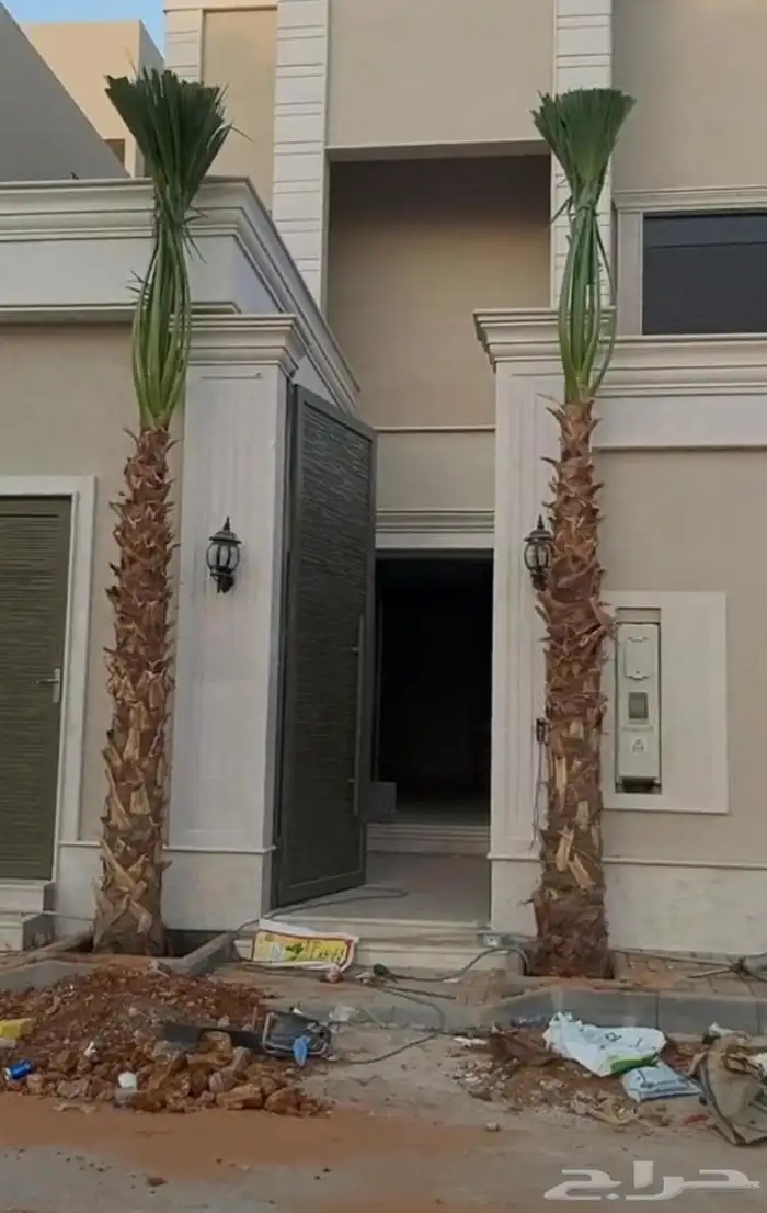 نقوم بتوريد جميع أنواع النخيل الوشنطني والعربي 6