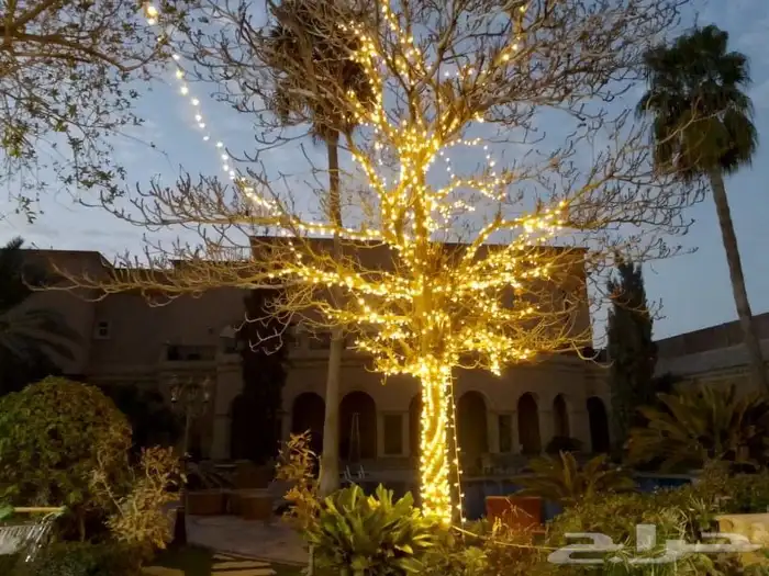 زينه كويتيه زينه عرس زينه زواج نشره كويتيه اضاءه حفل زواج 2