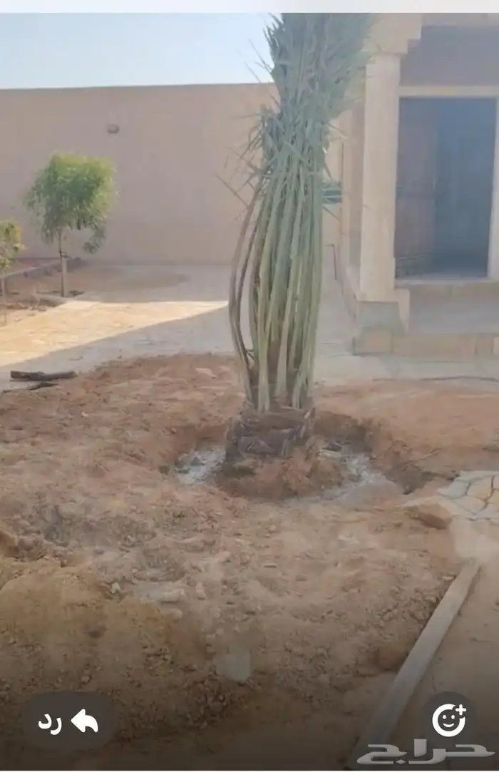 يوجد لدينا جميع انواع انخل 2