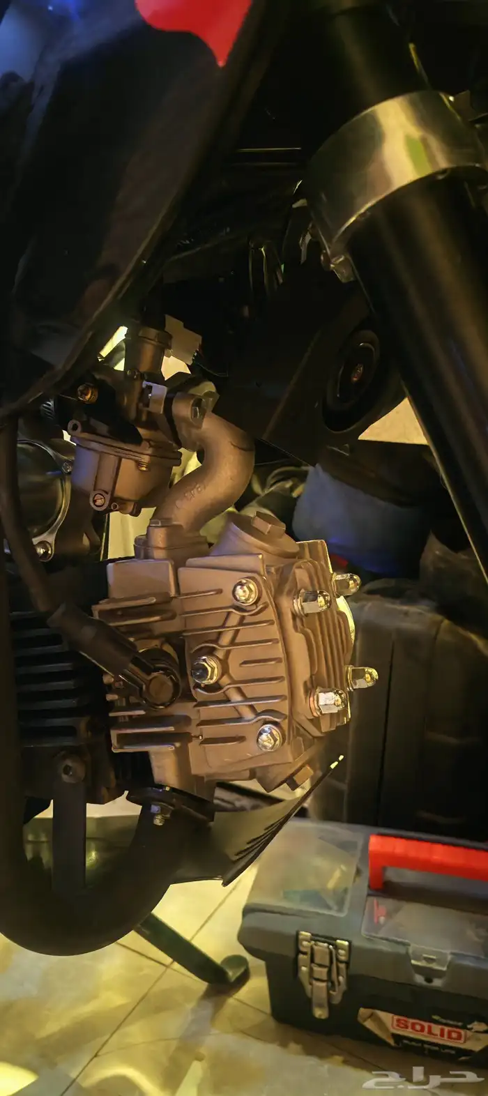 دباب صحراوي 125cc مديل 2025 7