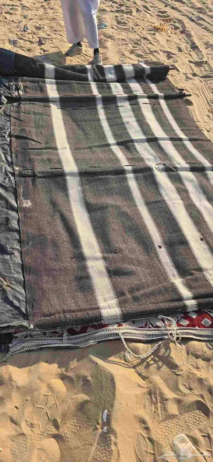 بيت شعر طول 10 متر عرض 5متر ثلاث اعمده اخو الجديد 1