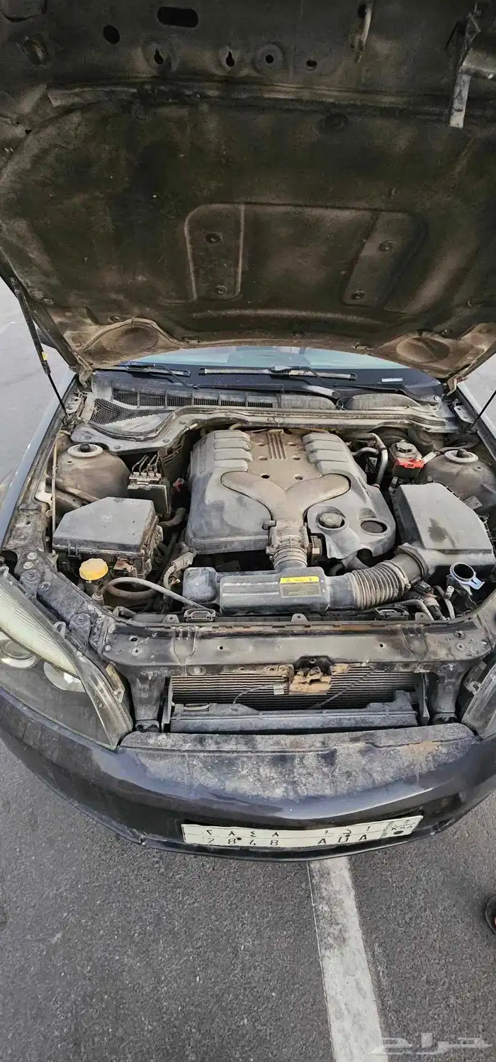 كابرس 2008 نظيف على الشرط ممشى قليل 5