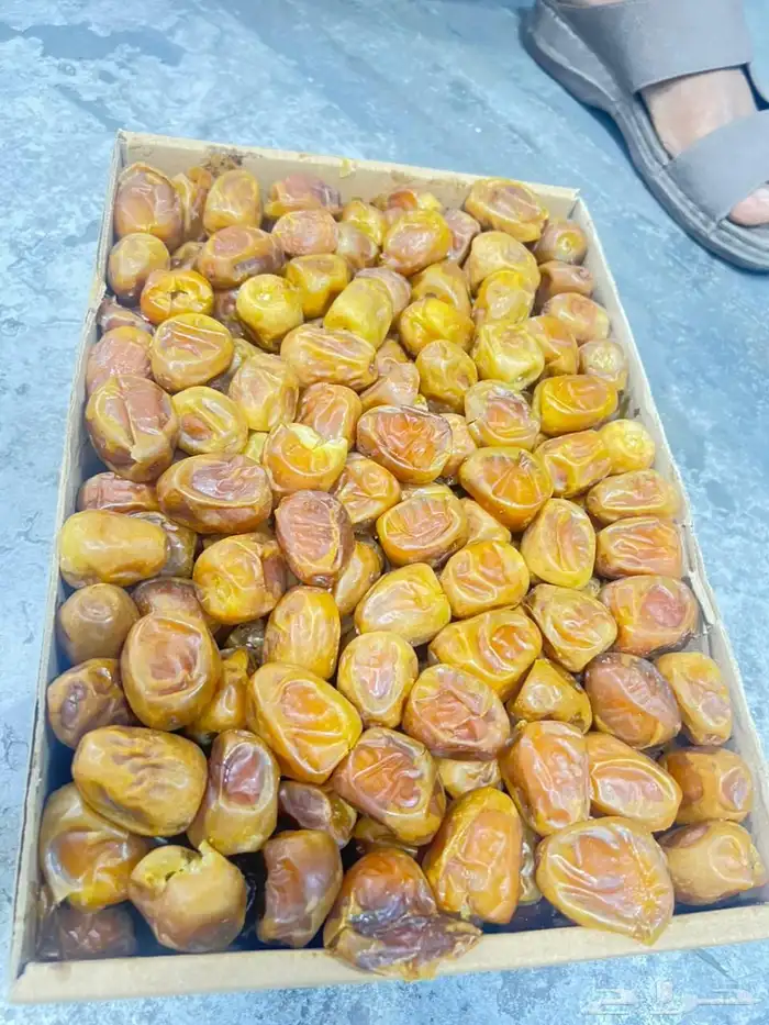 رطب سكري فاخر 20الف كرتون 0