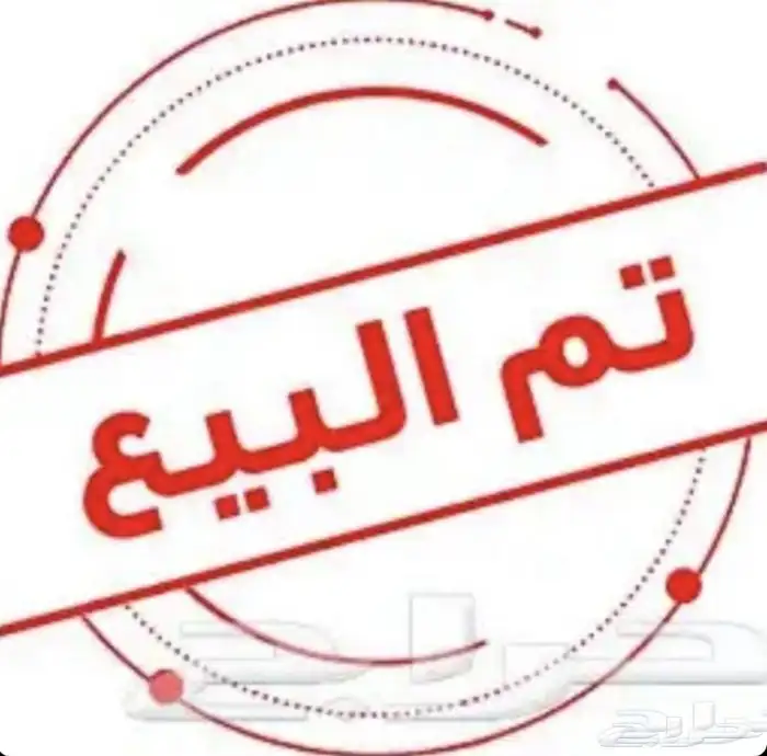 كناري منتج ( تم البيع ) 6