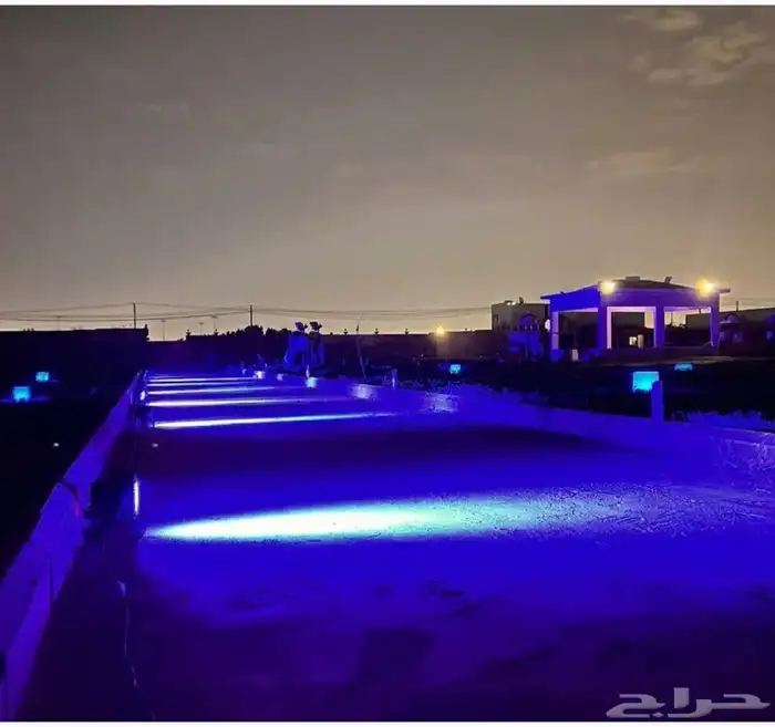 تاجير افتتاح بوابه سيدي كرار بالونه راقصه مهرج قوس بالونه 7