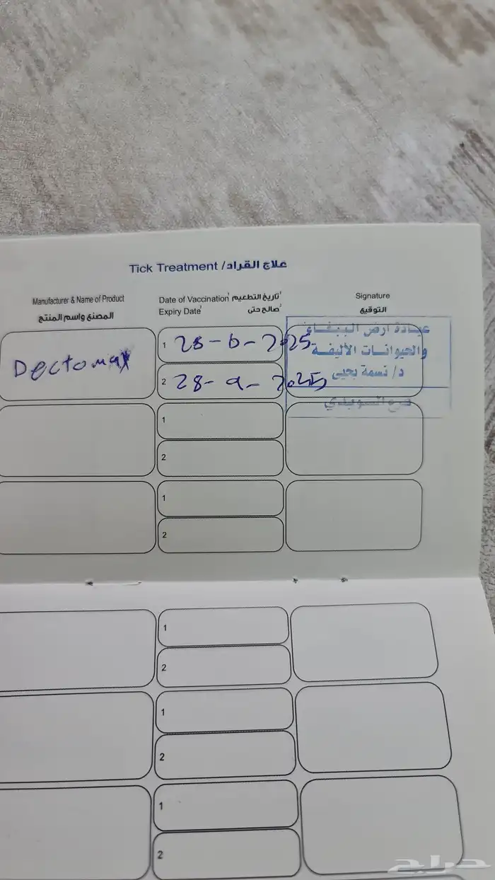 قط للتبني الاسم فوكسي العمر 8 شهور معه كرت تطعيم 6