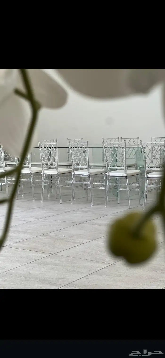 للحفلات والمناسبات قهوجينن وصبابين كراسي بنوعها اطولات بأنوا 6