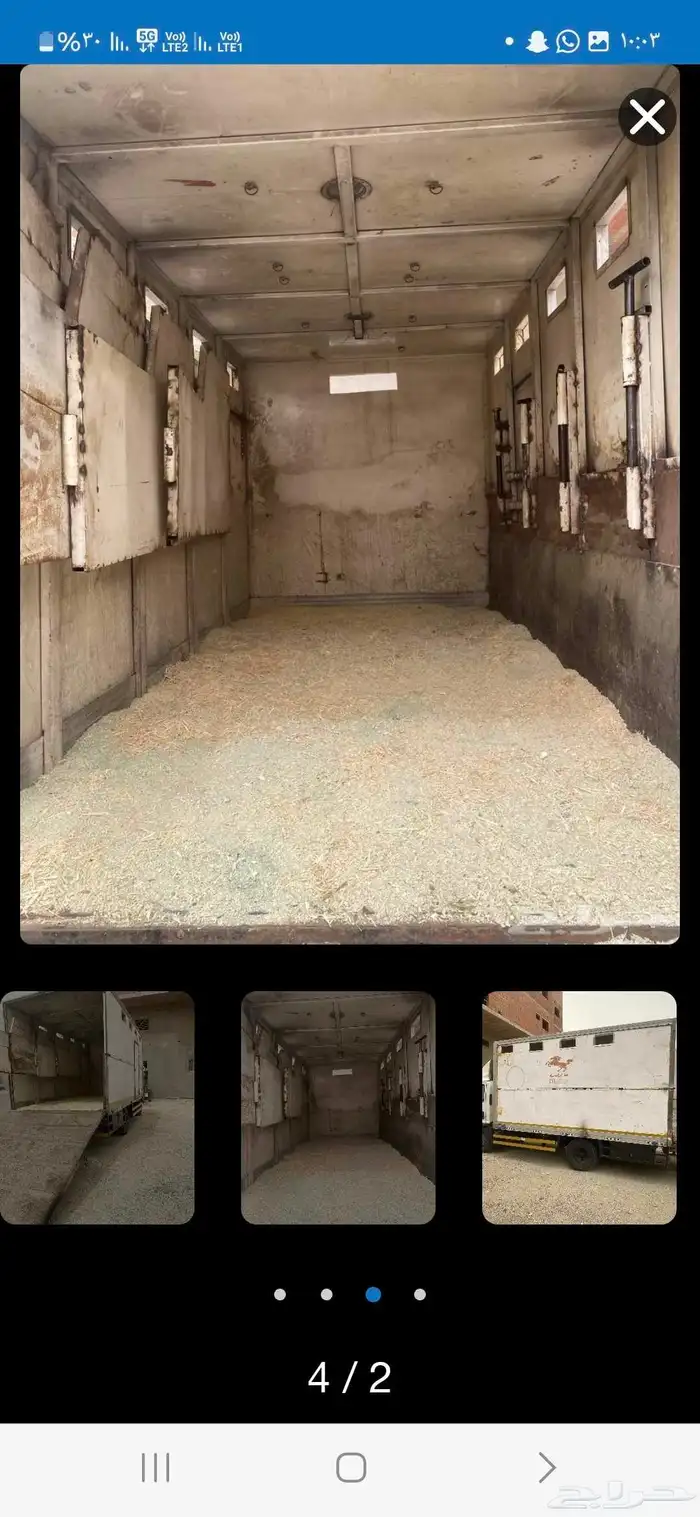 دينه نقل خيل 1