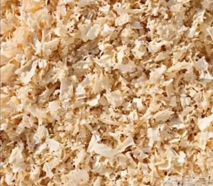 نشارة خشب جدا نظيفه لمزارع الدواجن وجميع الحيوانات الأليفه 2