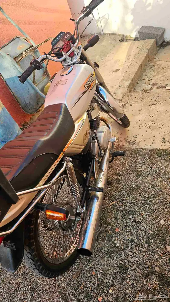 دباب x100 موديل 25 نظيف 1