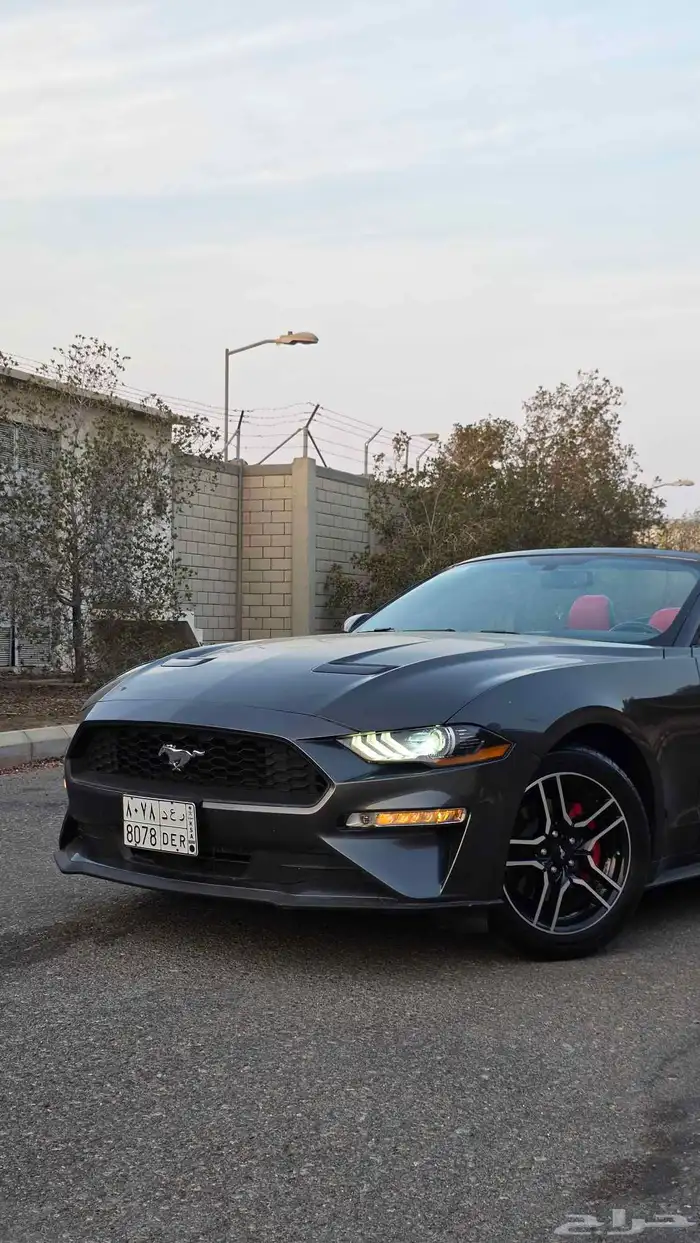 موستنج ايكوبوست كشف 2020 نسخة ( 55 عام ) نضيف 9