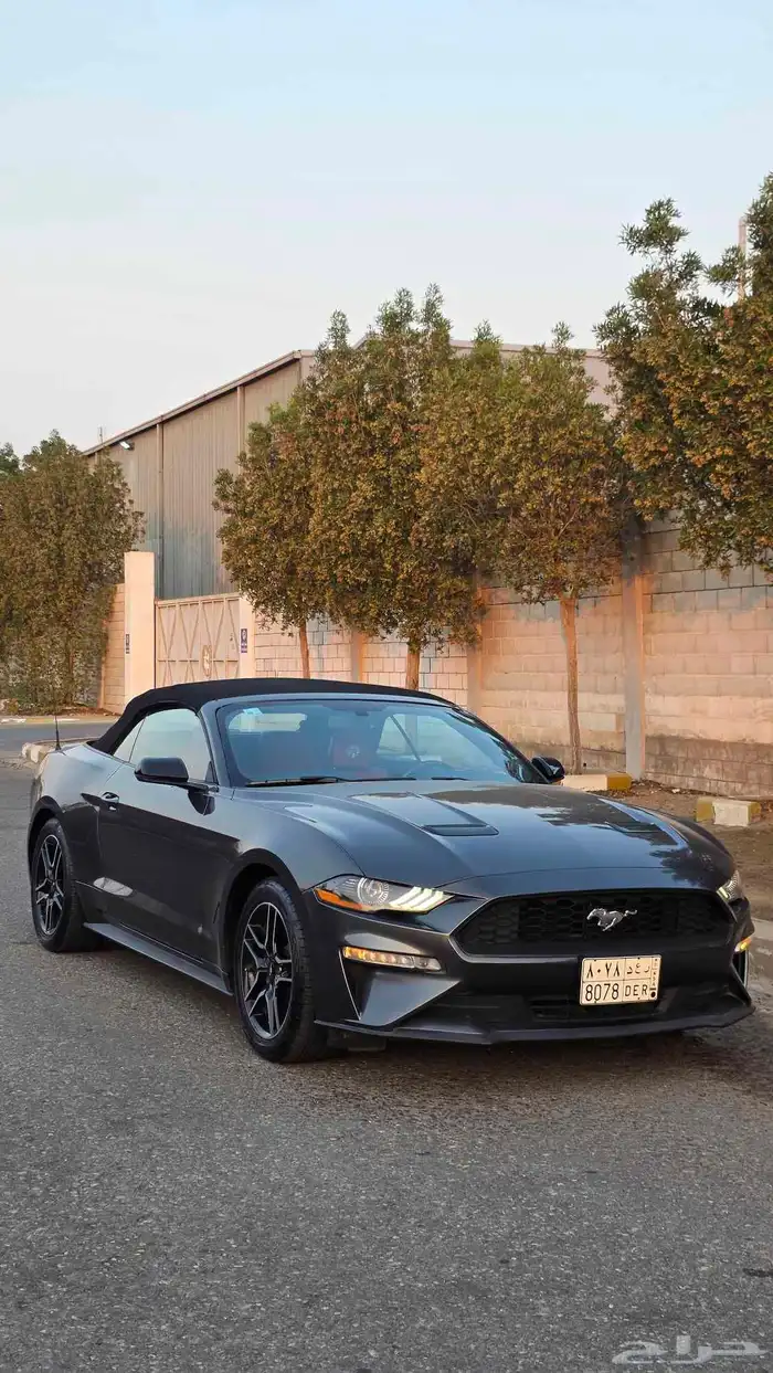 موستنج ايكوبوست كشف 2020 نسخة ( 55 عام ) نضيف 7