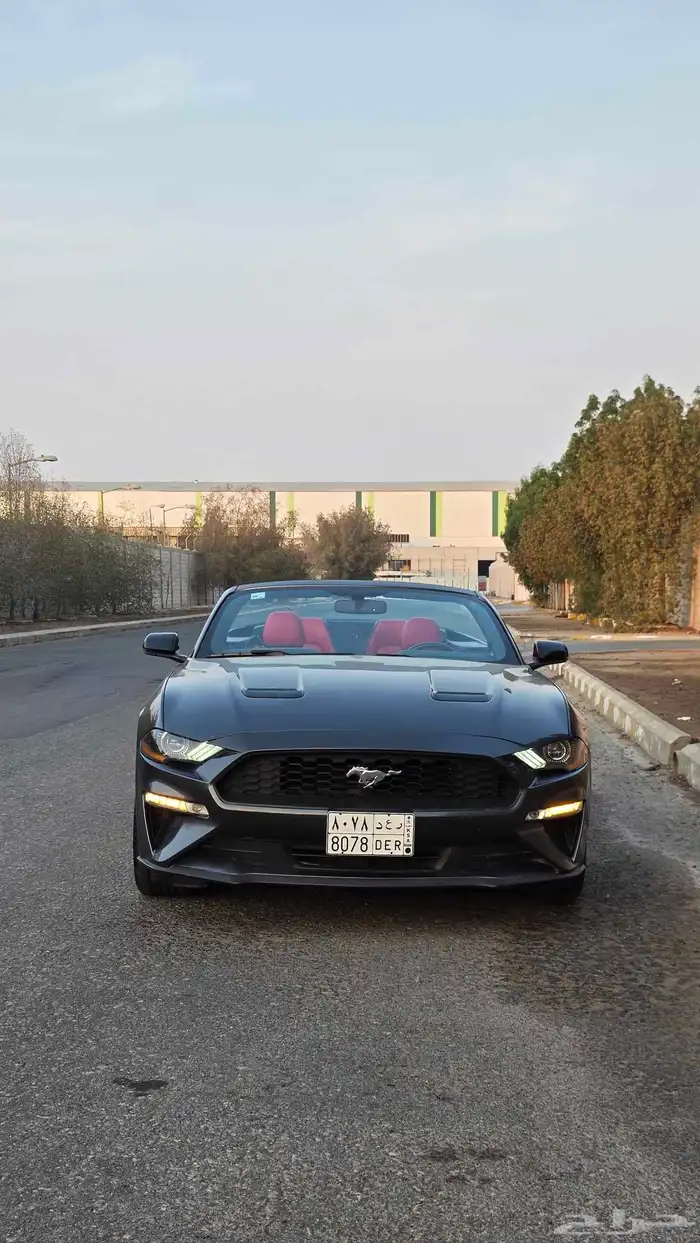 موستنج ايكوبوست كشف 2020 نسخة ( 55 عام ) نضيف 12