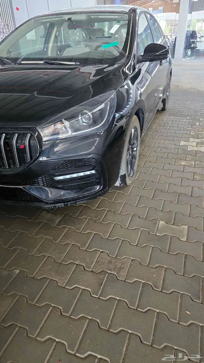 شيري اريزو 5 2025 4