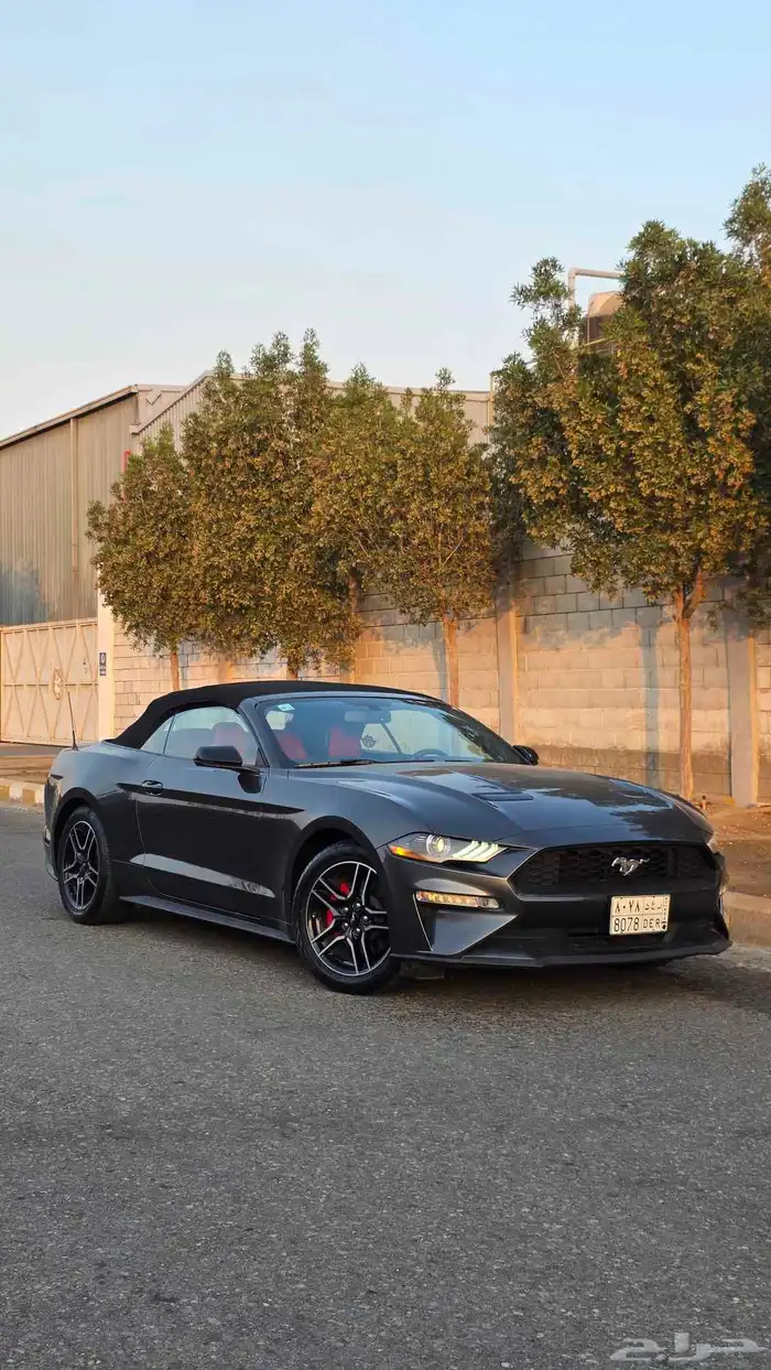 موستنج ايكوبوست كشف 2020 نسخة ( 55 عام ) نضيف 3