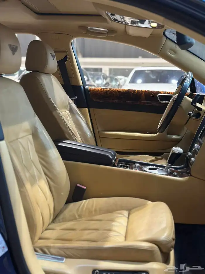 بتتلي فلاينج سبير مويل 2010 8