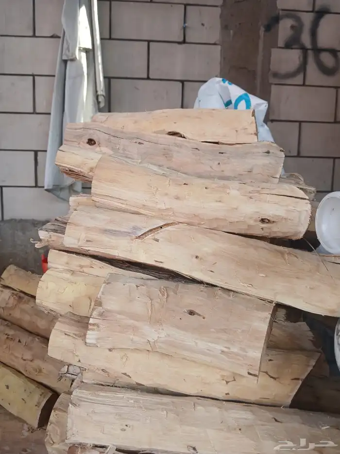 حطب طلح سوداني شاف 3