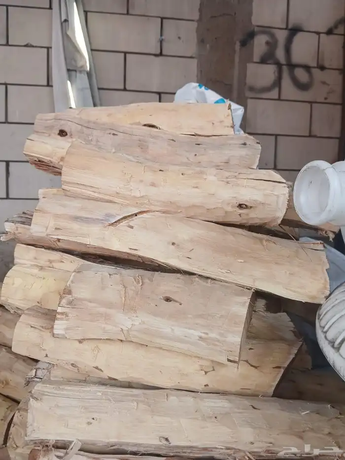 حطب طلح سوداني شاف 2