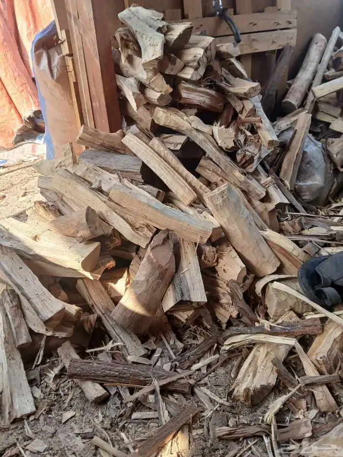 حطب طلح سوداني شاف 5