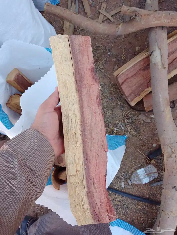 يتوفر خياش سمر مع التوصيل شرط خيشه حجم 15 0