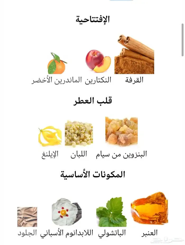 عنبر كشمير 100مل 1