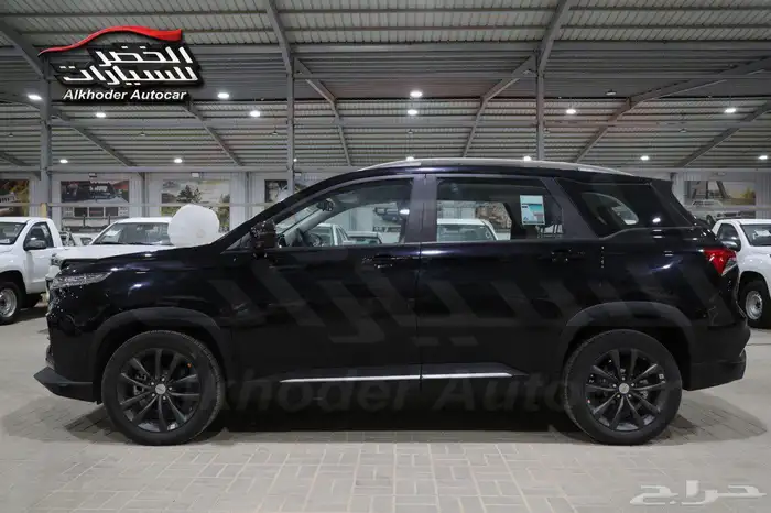 شفر ليه كابتيفا استاندر 2026 17