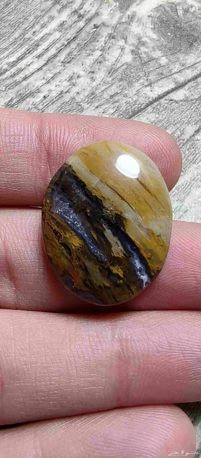 حجر عقيق يمني مصور حوت طبيعي 15