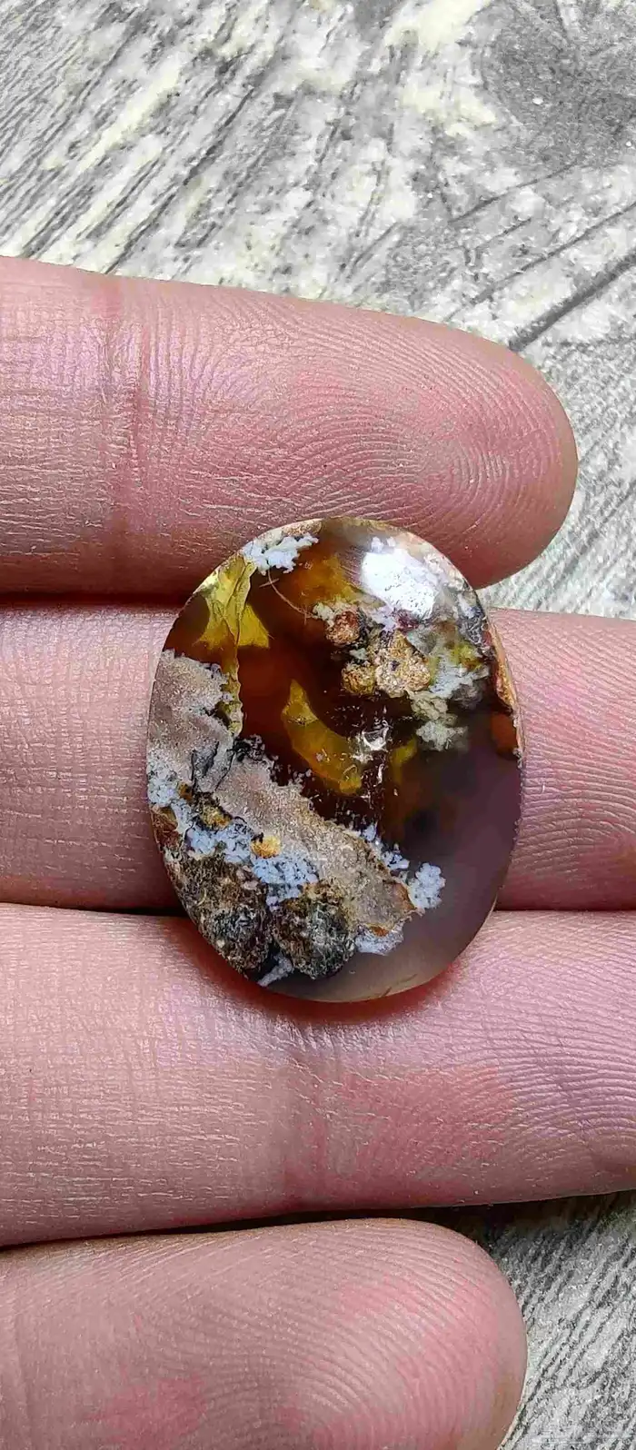 حجر عقيق يمني مصور حوت طبيعي 17