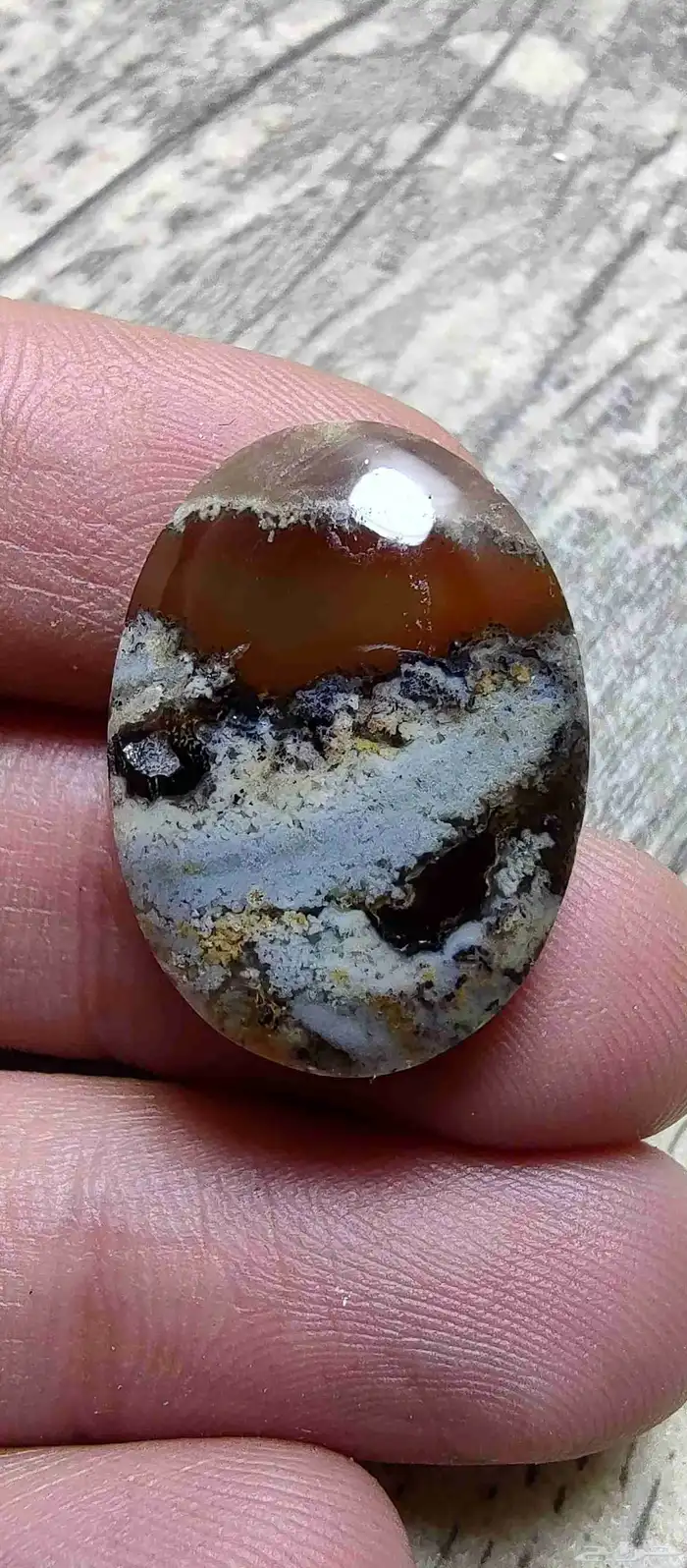 حجر عقيق يمني مصور حوت طبيعي 16