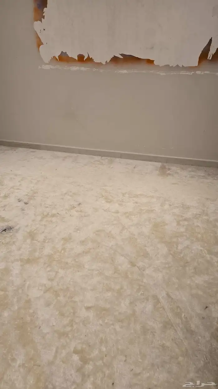 سجاد للبيع 0