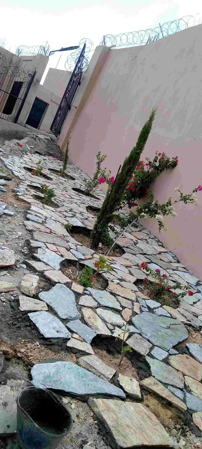 ابداع وتفنن 3