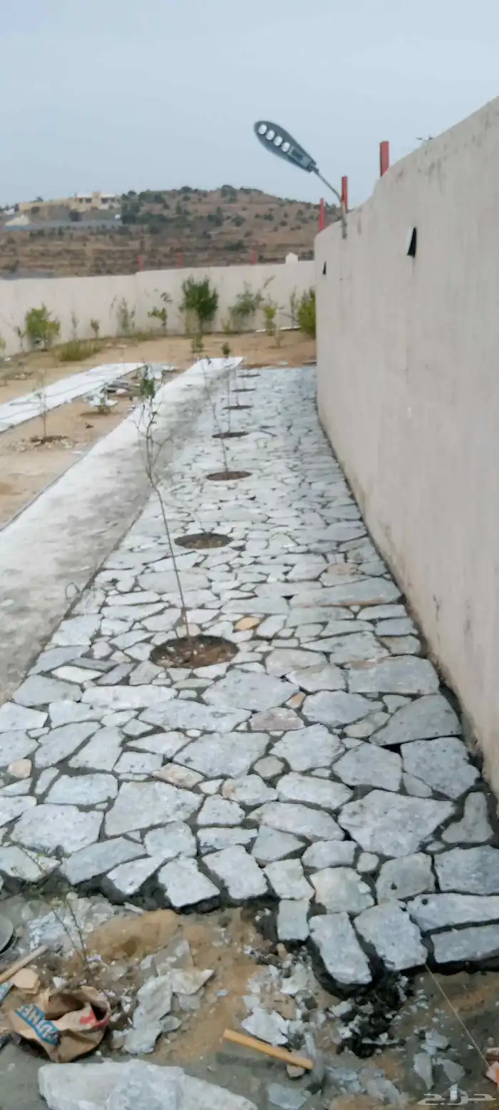 ابداع وتفنن 7