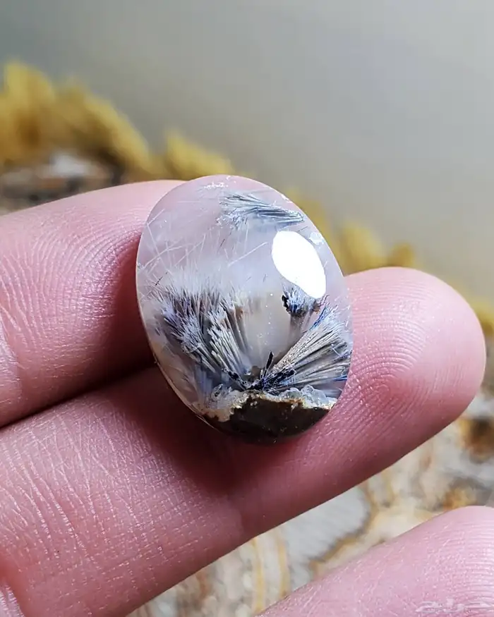 حجر عقيق يمني مصور حوت طبيعي 3