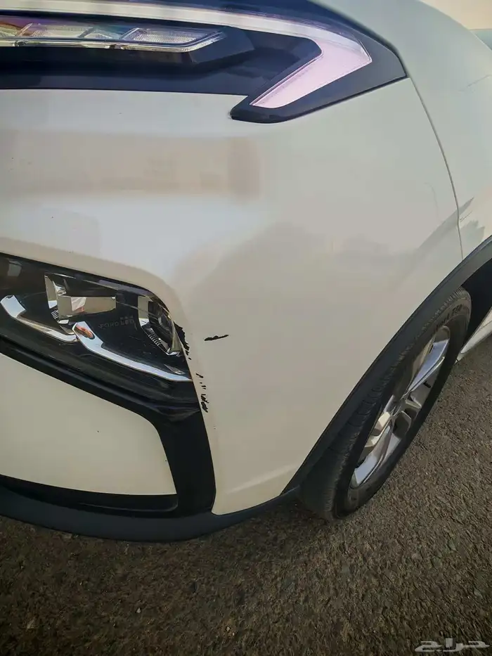 فورد تيريتوري 2024 14