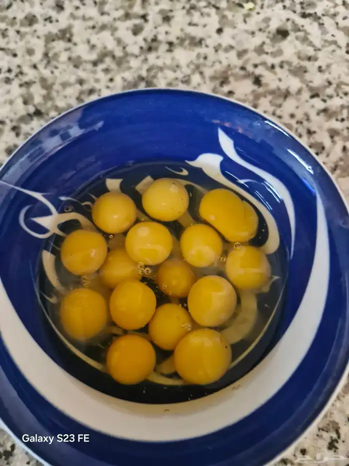 للبيع  بيض سمان طازج - طبق 30 حبة ب 10 ريال فقط بيض السم 2