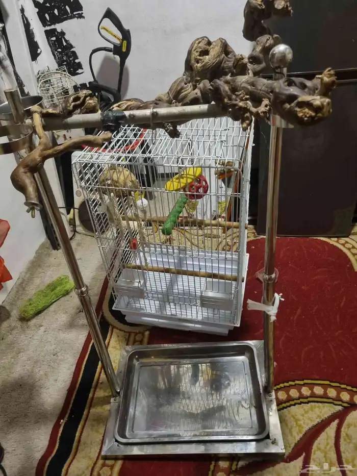 قفص مع استاند للطيور 1