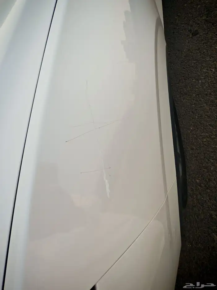 فورد تيريتوري 2024 15